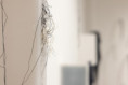/album/art-book/mg-8221-jpg1/