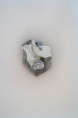 /album/galleria-foto-pittosculture/dsc06214-jpg/